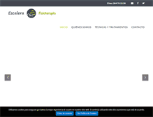 Tablet Screenshot of escalerafisioterapia.com